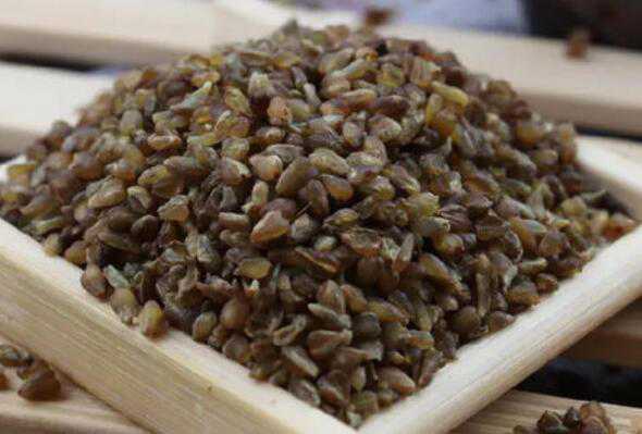 �ڿ����׵ĳԷ�������