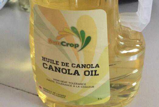 ���������ʳ����� �����͵�ʳ�÷���