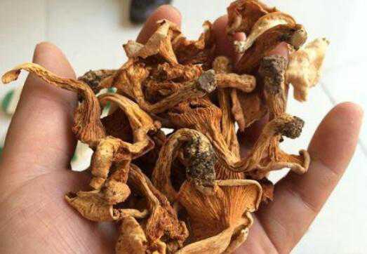 ��˿����ô���ó� ��˿����ʳ�÷���