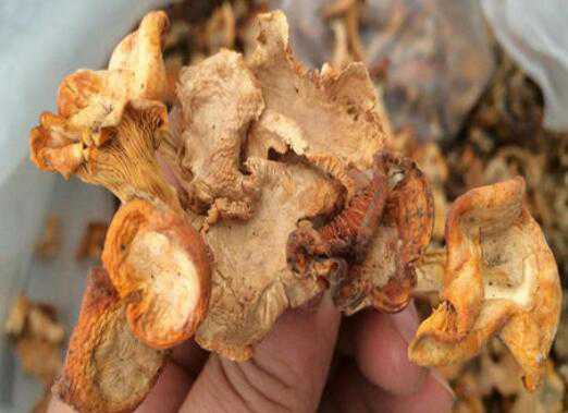 ��˿����ô���ó� ��˿����ʳ�÷���