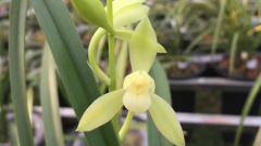 �����ػ��ĸ���������