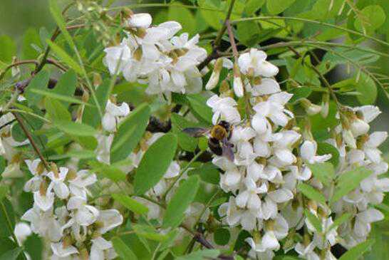 �󻱻��Ĺ�Ч�����