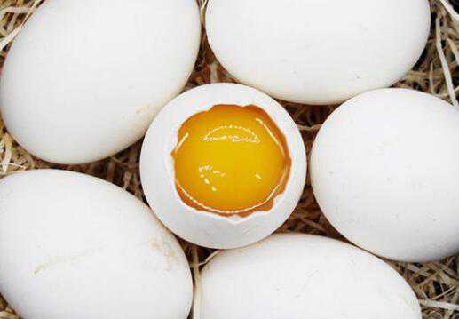 �쵰���ܺ�ʲôһ���