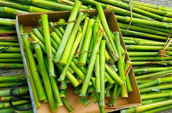 甘蔗的功效与作用 吃甘蔗的好处