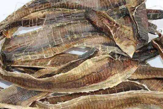 地龙干的作用与功效 地龙干的禁忌有哪些