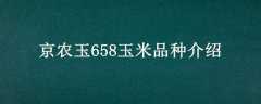 ũ658Ʒֽ