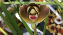 ����������ôʹ��