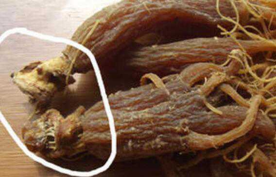 ���ͷ��ʲô��Ч ���ͷ��ˮ��Ч���������Щ