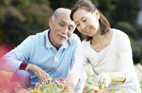 给老年人买什么吃的好 给老人买什么水果吃比较好