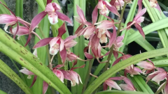 ����Ӧ�ð���ʲôλ��