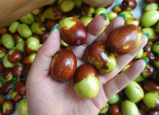 ������Ĺ�Ч������