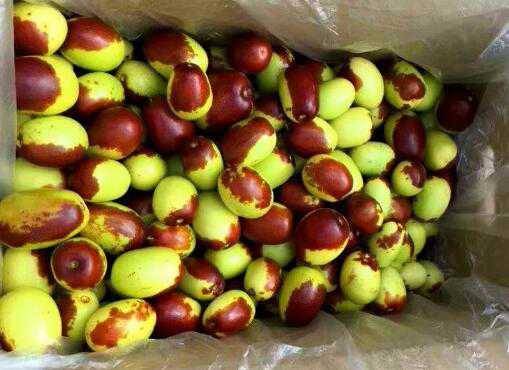 ������Ĺ�Ч������