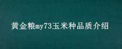ƽmy73Ʒʽ