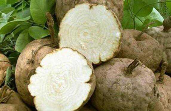 茯苓葛根泡水喝的功效