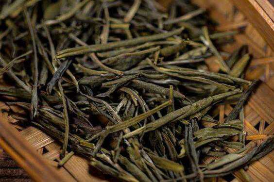 苦丁茶能减肥吗 苦丁茶减肥的方法技巧