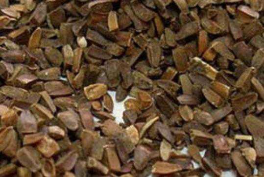 ��ε�ӵĹ�Ч������ ��ε�ӵĸ��������������Щ