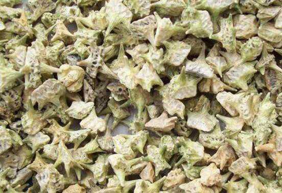 Ů�˺���޼�ĺô��빦Ч