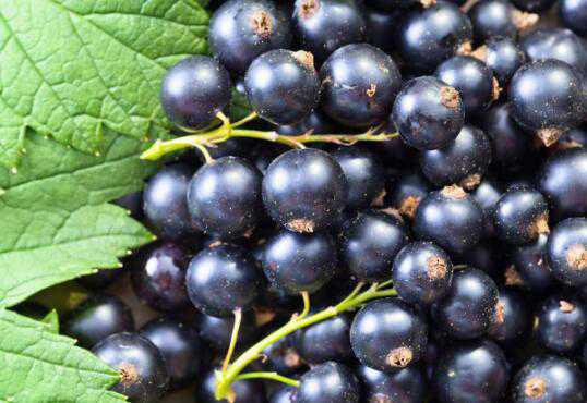 �ڼ��ض�Ů�˵ĺô�