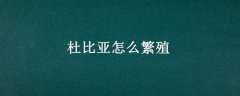 űôֳ