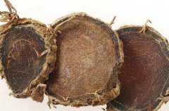 ��ݭ���Ĺ�Ч�����ü�ҩ�ü�ֵ����