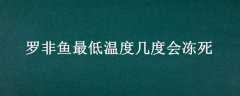 ޷¶ȼȻᶳ