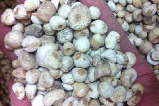 �ư��ĵĹ�Ч������