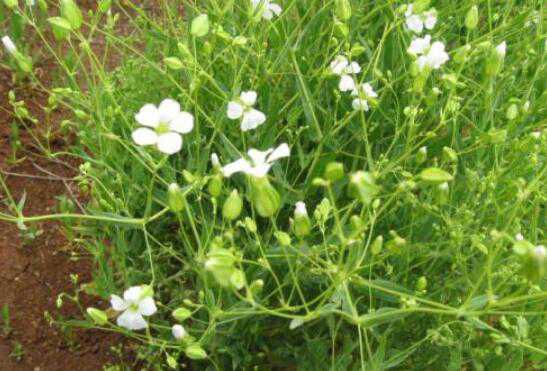 �����ݵĹ�Ч������ �����ݵĽ�������Щ