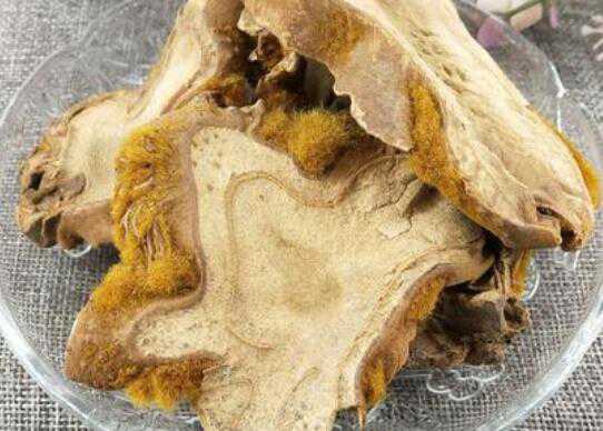 狗脊的功效与作用及药用价值高吗