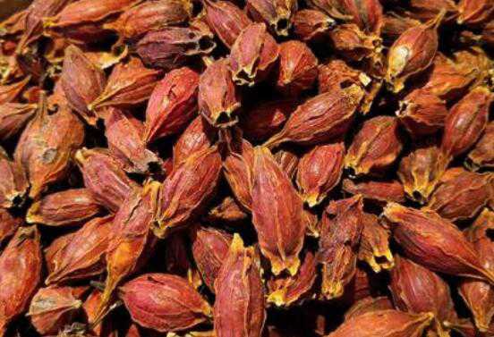 �����ӵĹ�Ч������ �����ӵĸ�����