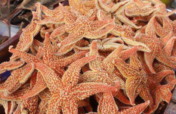 ���ǵĹ�Ч������ ���ǵ�ʳ�÷�����ʽ