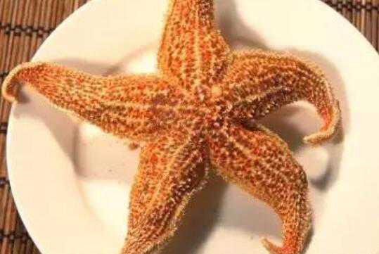 ���ǵĹ�Ч������ ���ǵ�ʳ�÷�����ʽ