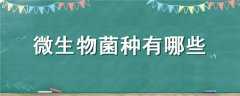 ΢Щ