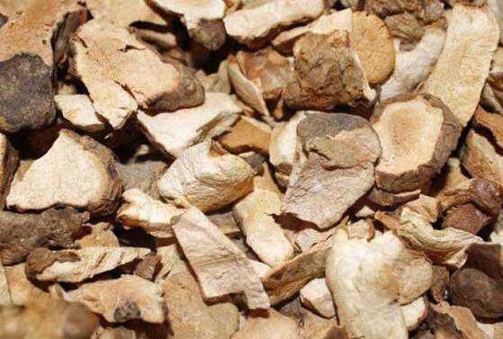 茯苓皮的功效与作用及服用方法