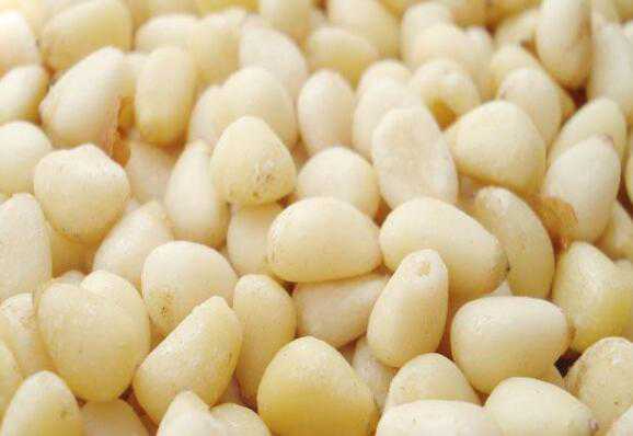 马尾松仁怎么吃 马尾松仁的食用方法方式