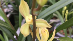 ���������ݲŻῪ��