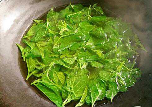 香椿叶煮水的功效与作用