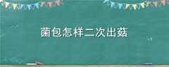 γ