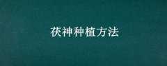 ֲ