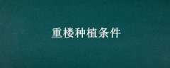 ¥ֲ