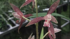 �����ʺ��ڿ�������