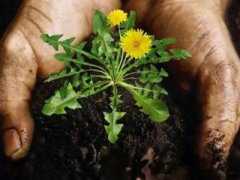 �ѹ�Ӣ�����˿��Ժ����ѹ�Ӣ��Щ�˲��˺�