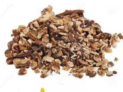 �ѹ�Ӣ����ļ�ͥ����