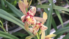 ������������