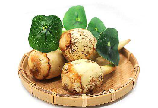 �Ĺ���Ӫ����ֵ �Ĺ��Ĺ�Ч������