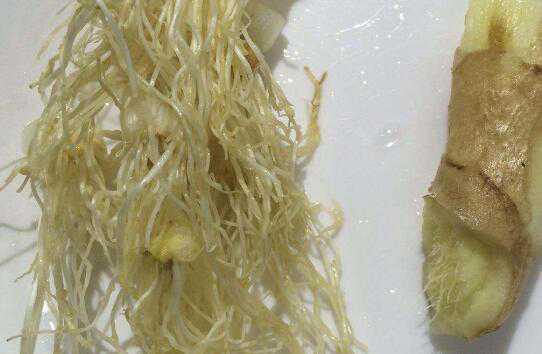 иĹЧͽЩ