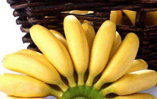 �ʵ۽����㽶������ �Իʵ۽��ĺô�