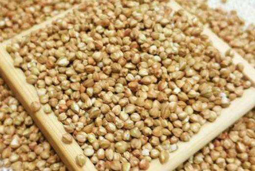 米荞与苦荞的区别 米荞 的食用功效