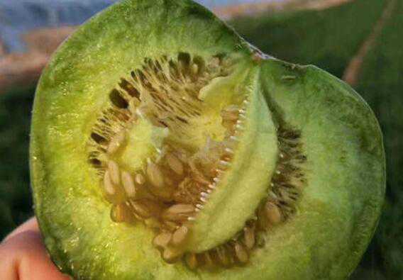 ̱ʯô ̱ʯϵʳ÷ʽ