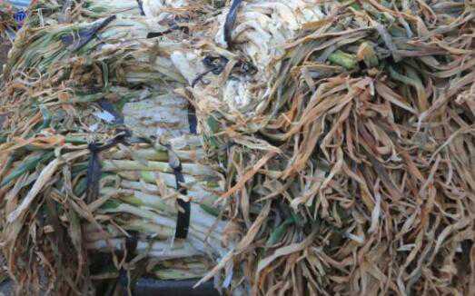 韩国大葱鸡蛋价格暴涨