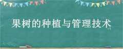 ֲ